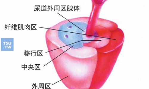 阿莫西林舒巴坦匹酯片有哪些副作用-阿莫西林舒巴坦匹酯片有什么副作用-专业阿莫西林舒巴坦匹酯片最长吃几天平台-阿莫西林舒巴坦匹酯片的用法