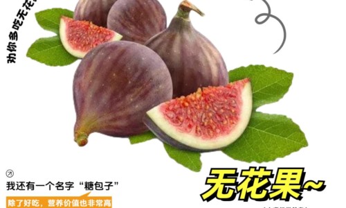 阿莫西林舒巴坦匹酯片最长吃几天-阿莫西林舒巴坦匹酯片有什么副作用-专业阿莫西林舒巴坦匹酯片最长吃几天平台-阿莫西林舒巴坦匹酯片的用法